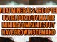 What Minerals Are Often Overlooked By Major Mining Companies But Have Growing Demand