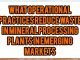 What Operational Practices Reduce Waste In Mineral Processing Plants In Emerging Markets